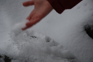 Roka v snegu